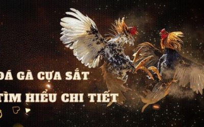 Trải Nghiệm Đá Gà Cựa Sắt Hấp Dẫn Tại MCW