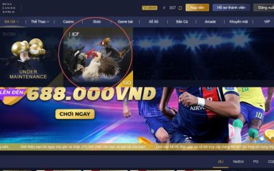 MCW giới thiệu sảnh đá gà trực tiếp ICF