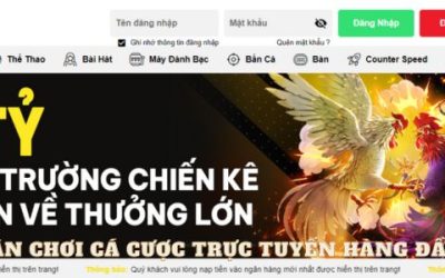 Đánh Giá Chi Tiết Về Betvisa – Nhà Cái Trải Nghiệm Cá Cược Trực Tuyến Hàng Đầu