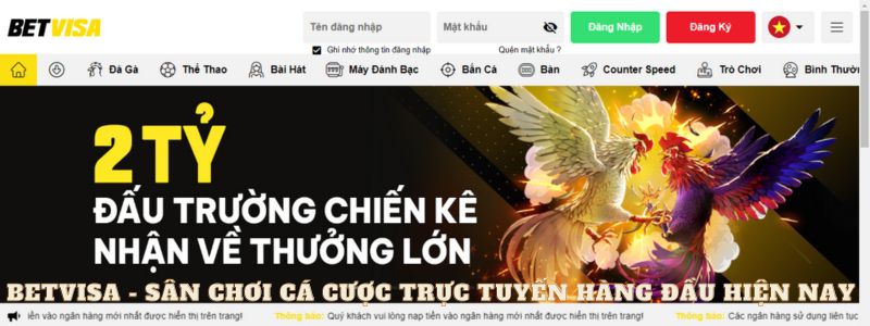 Đánh Giá Chi Tiết Về Betvisa – Nhà Cái Trải Nghiệm Cá Cược Trực Tuyến Hàng Đầu