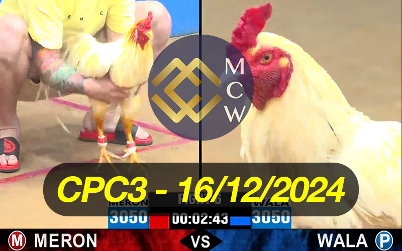 ĐÁ GÀ TRỰC TIẾP CPC3 NGÀY 16/12/2024
