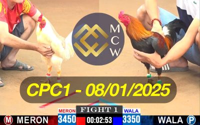 ĐÁ GÀ TRỰC TIẾP CPC1 NGÀY 08/01/2025