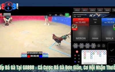 Trực Tiếp Đá Gà Tại GA888 – Cá Cược Đá Gà Đơn Giản, Cơ Hội Nhận Thưởng Cao