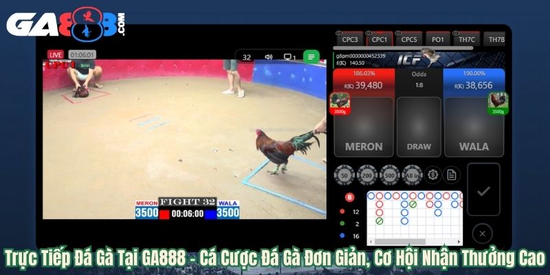 Trực Tiếp Đá Gà Tại GA888 – Cá Cược Đá Gà Đơn Giản, Cơ Hội Nhận Thưởng Cao