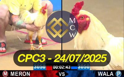 ĐÁ GÀ TRỰC TIẾP CPC3 NGÀY 24/07/2025
