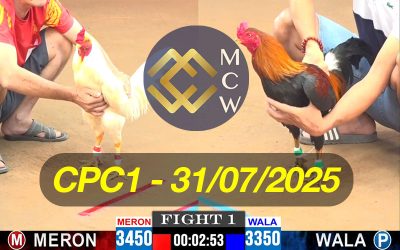 ĐÁ GÀ TRỰC TIẾP CPC1 NGÀY 31/07/2025