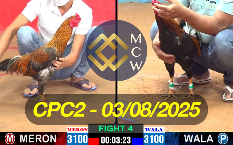 ĐÁ GÀ TRỰC TIẾP CPC2 NGÀY 03/08/2025