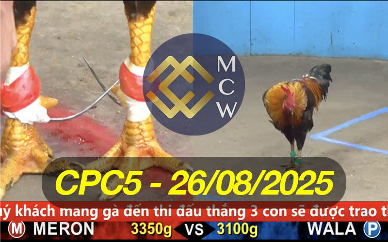 ĐÁ GÀ TRỰC TIẾP CPC5 NGÀY 26/08/2025