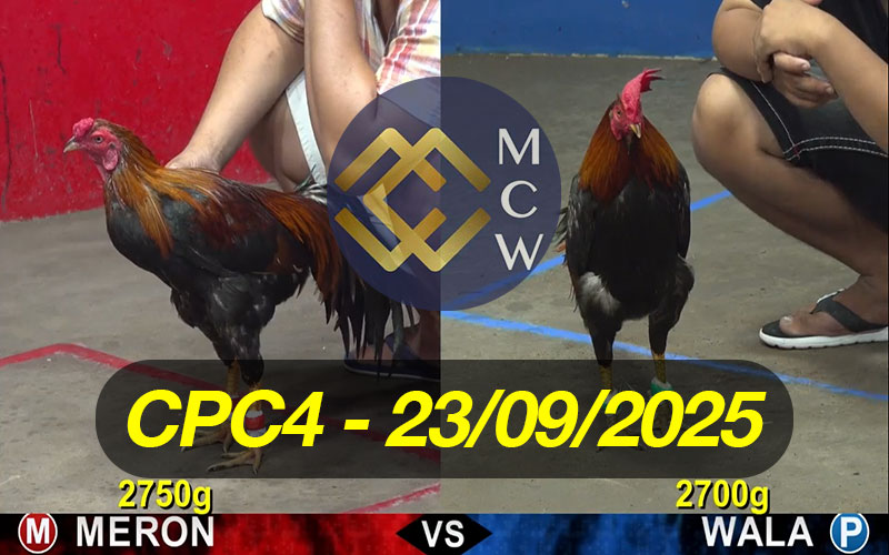 ĐÁ GÀ TRỰC TIẾP CPC4 NGÀY 23/09/2025