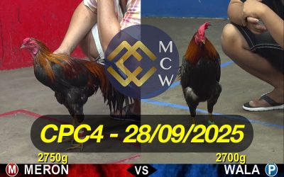 ĐÁ GÀ TRỰC TIẾP CPC4 NGÀY 28/09/2025