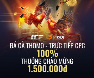 ĐÁ GÀ THOMO 100% Thưởng Nạp Lần Đầu