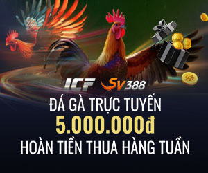 Hoàn tiền hàng tuần – Đá Gà: 3.88% lên đến 5.000.000 VND