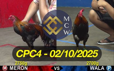 ĐÁ GÀ TRỰC TIẾP CPC4 NGÀY 02/10/2025