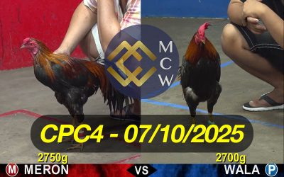 ĐÁ GÀ TRỰC TIẾP CPC4 NGÀY 07/10/2025