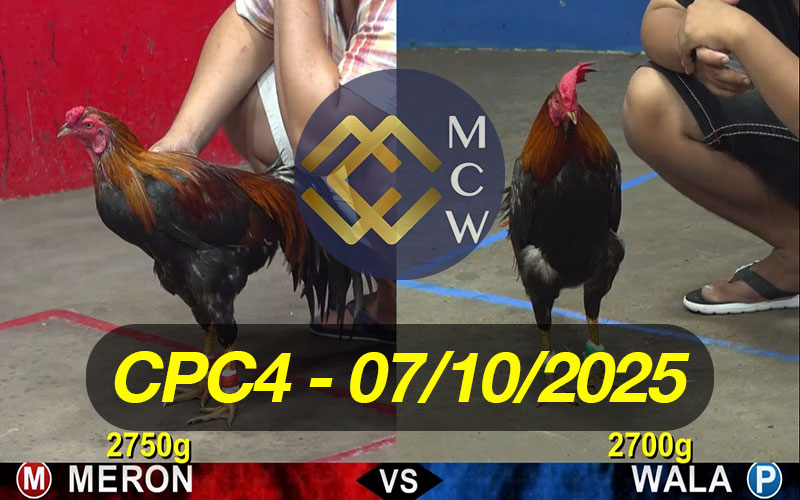 ĐÁ GÀ TRỰC TIẾP CPC4 NGÀY 07/10/2025