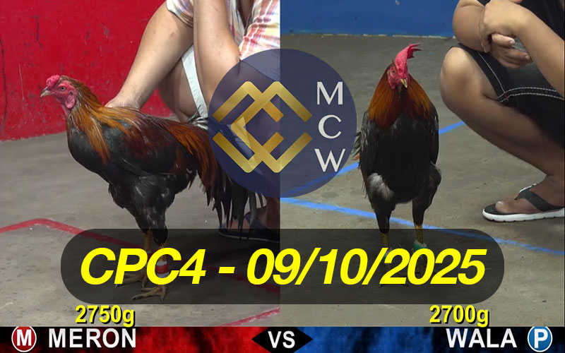 ĐÁ GÀ TRỰC TIẾP CPC4 NGÀY 09/10/2025